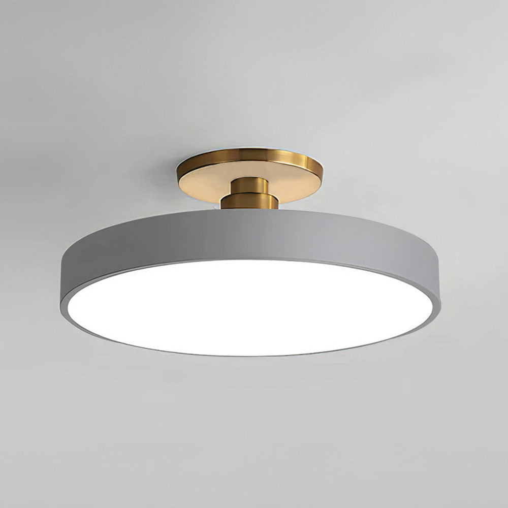 Sleek grey minimalist drum ceiling lamp featuring a gold canopy and frosted acrylic diffuser