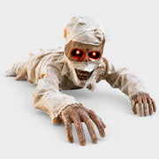 Close-up of Lurcher crawling mummy prop on a plain white studio background