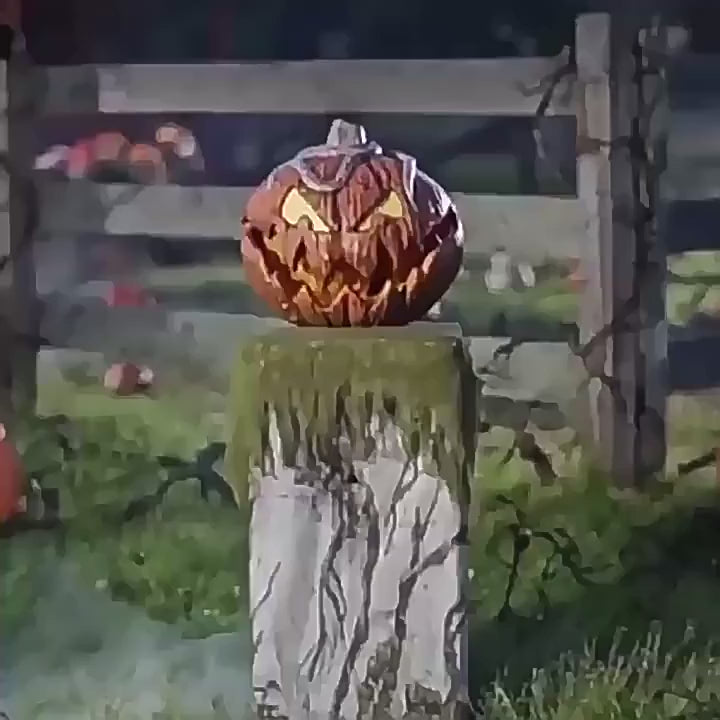 Fenner Halloween Pumpkin displaying its ability to open and close its mouth
