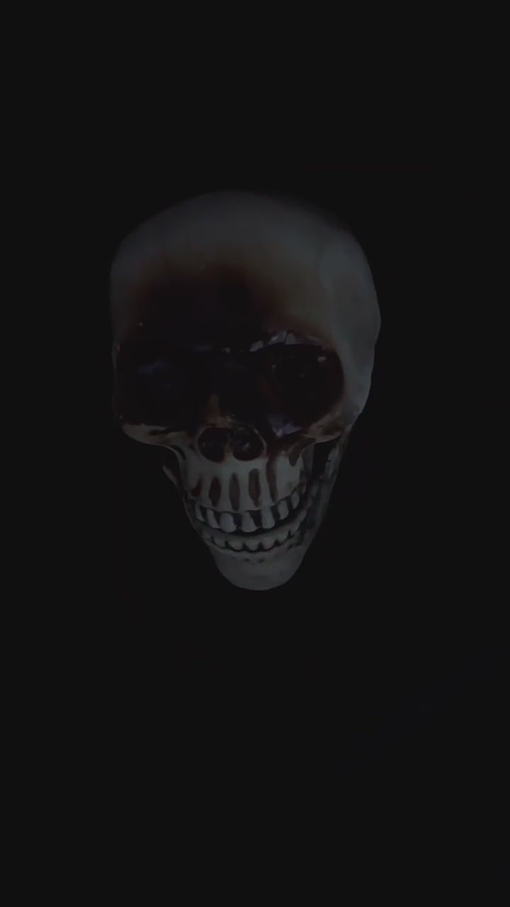 Darkle talking skull head Halloween prop demonstration video