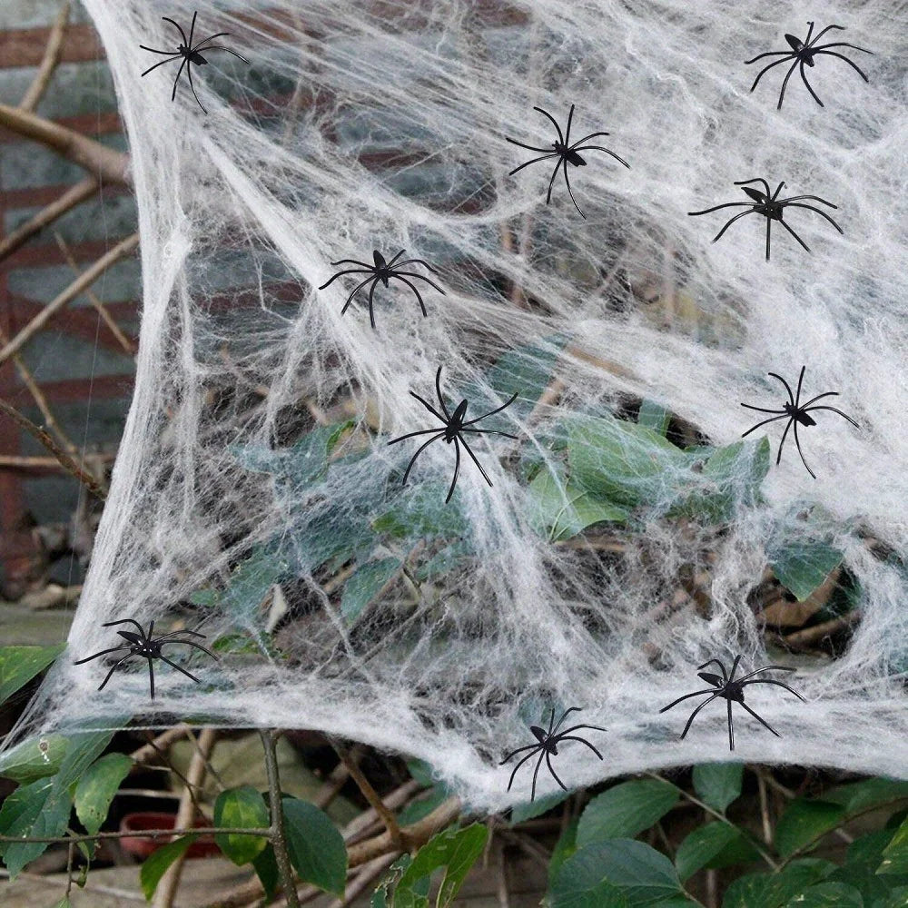 Silkshroud stretch cobweb draped over a garden fence and bushes with spiders scattered across the webbing