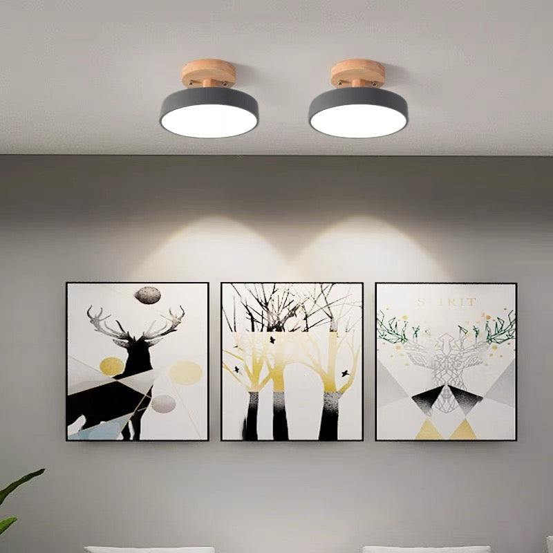 Pair of grey Nordic LED ceiling lights installed above framed deer artwork in a living space