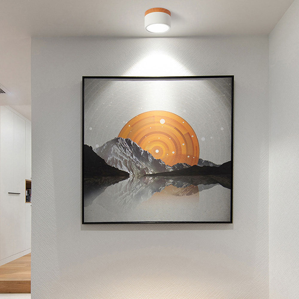 Modern white cylinder flush mount vytri ceiling light highlighting wall artwork in a minimalist room